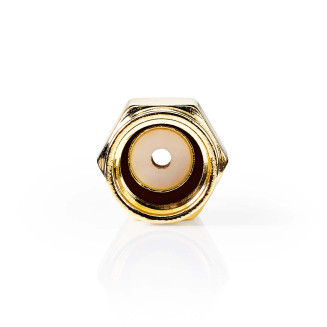 Single product image