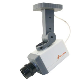 Single product image